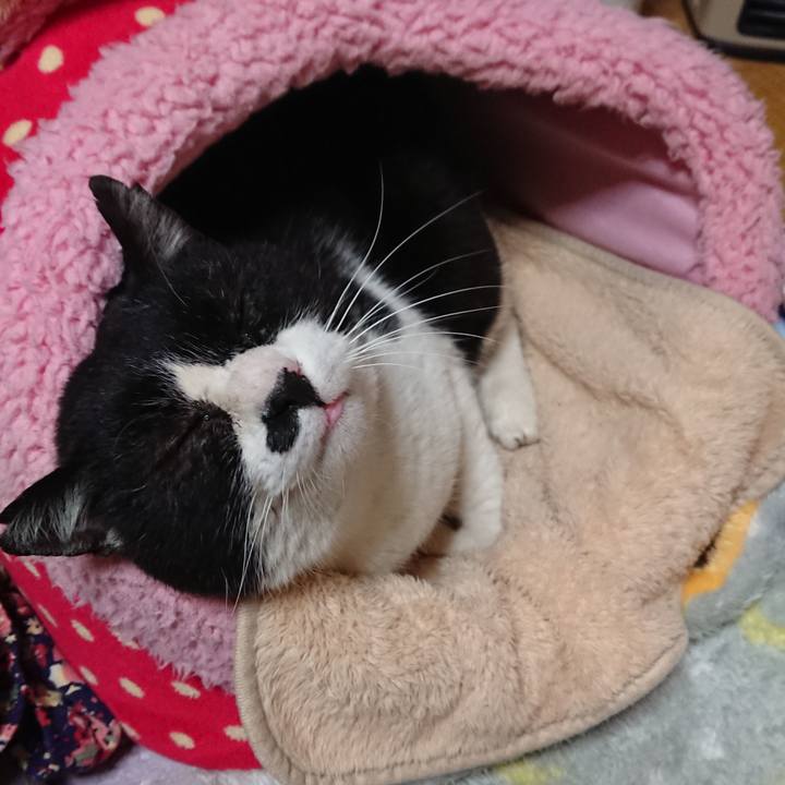 8e1d597a 6d81 4c1e 9cce 1a834fb1046f 1556287222408