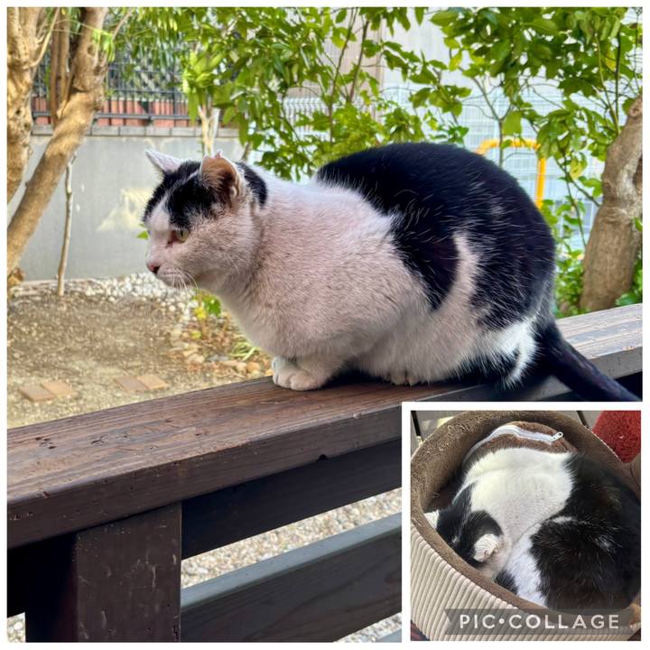 8e1d6304 7dd4 45df a894 bd76746c0c3c 1769314109532