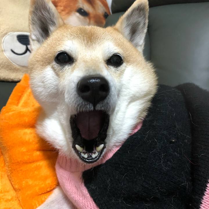 8e1dadd2 20bf 47a5 9322 18fc6511860f 1579251967260