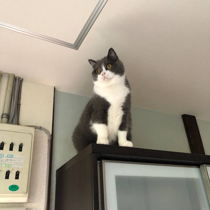 8e1dae90 a61e 4dc8 8d02 1f941c9e644d 1604805347112