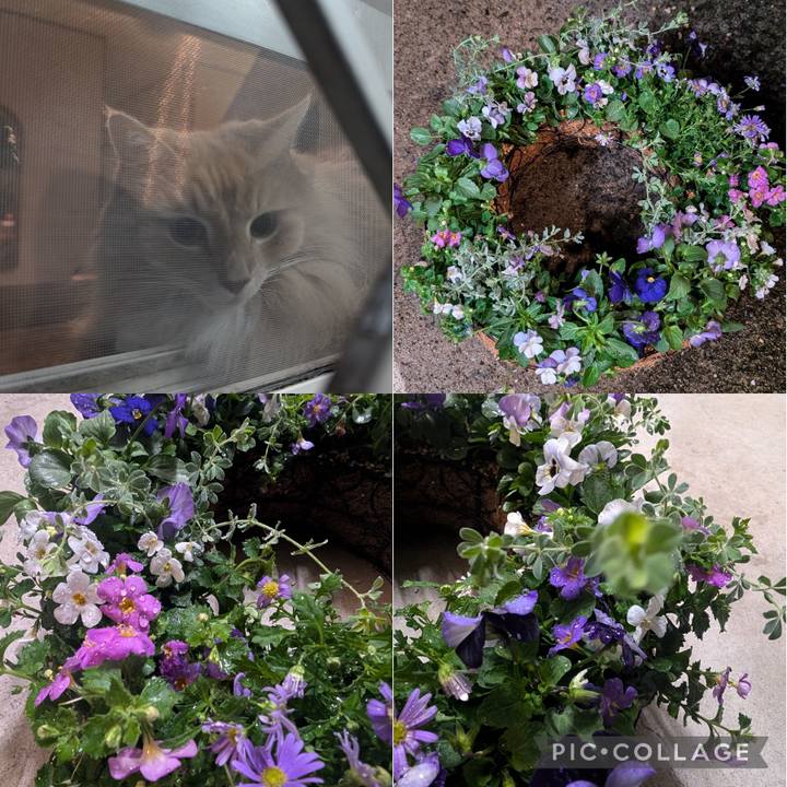 8e1de0a3 b42f 409f b50e e5addbbae52a 1727995939733