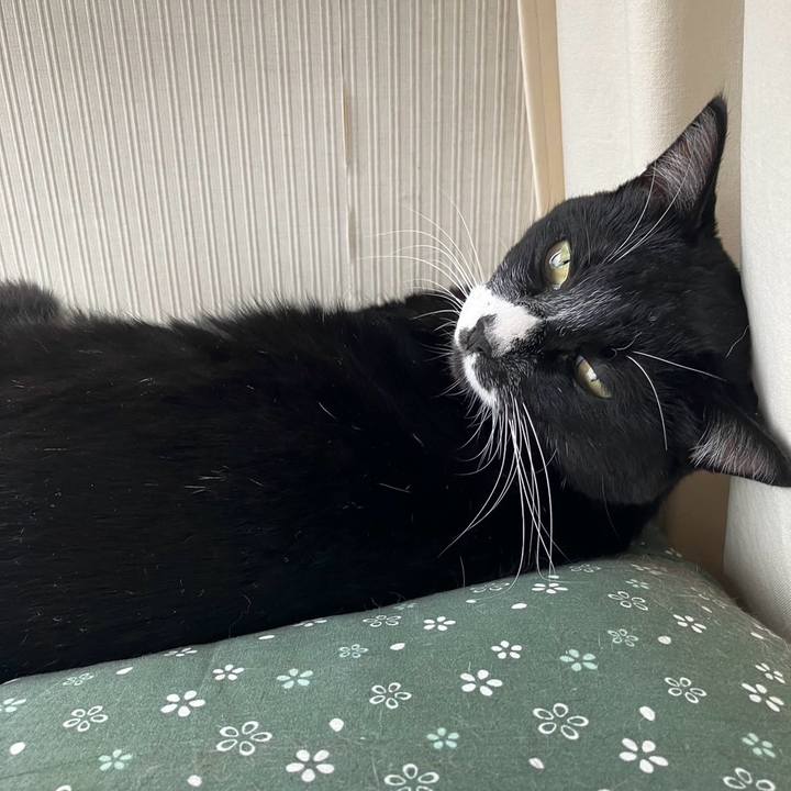 8e1deadf e94b 4328 b2b9 d98722525da7 1701228256461