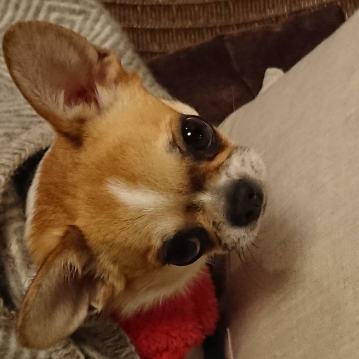 8e1df976 ff4d 48a5 b7a9 7a49e1dc64a1 1548502014822