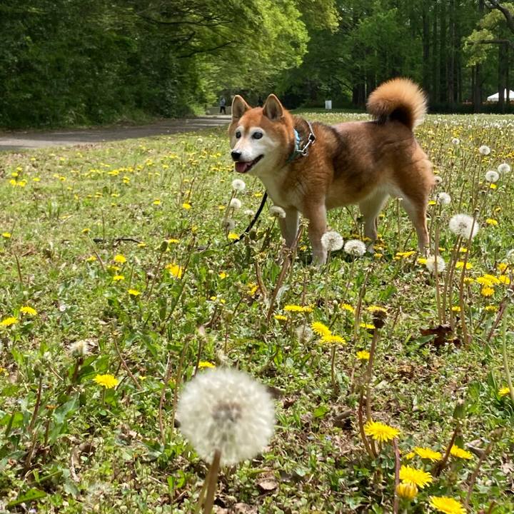 8e1e1497 9637 4aec b804 00fe2b1a6c23 1713592879068