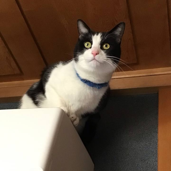 8e1e2ed6 d385 4cd8 9730 ad012302b5fc 1704879044007