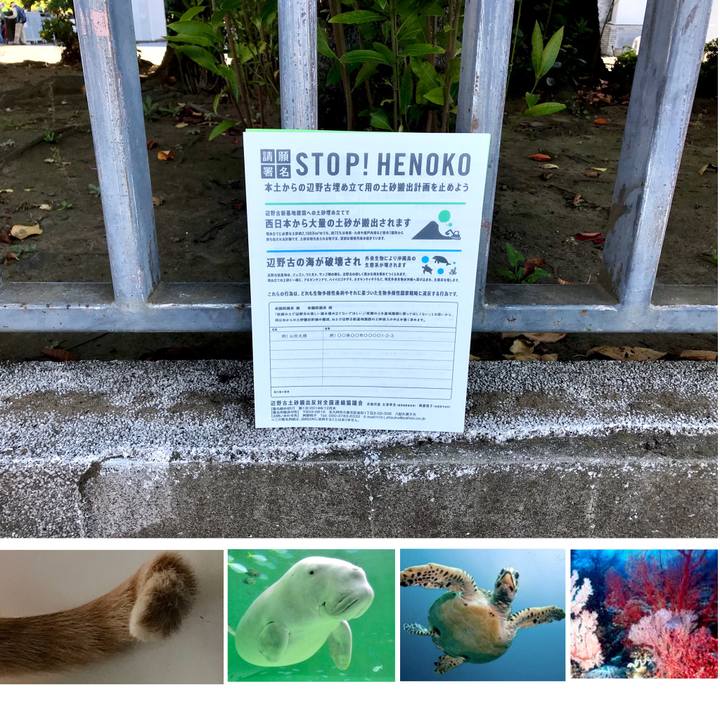 8e1e30ab 38bf 42e4 8705 a4711abef902 1541255292160