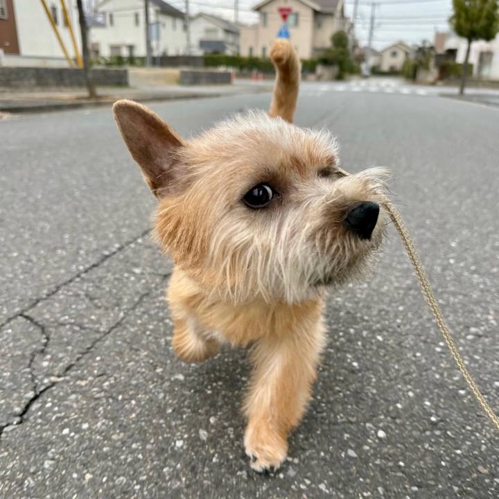 8e1e5bfc 1231 4af7 bcbf 5ffa885274a9 1710205879655