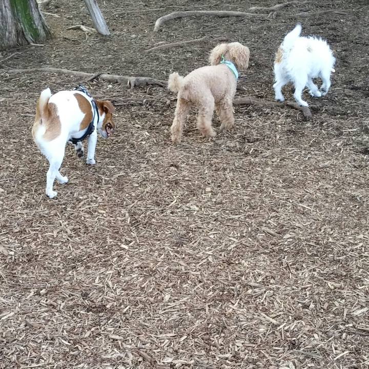 8e1e642b 9bb6 417b bd55 1f51122614cd 1537165018587