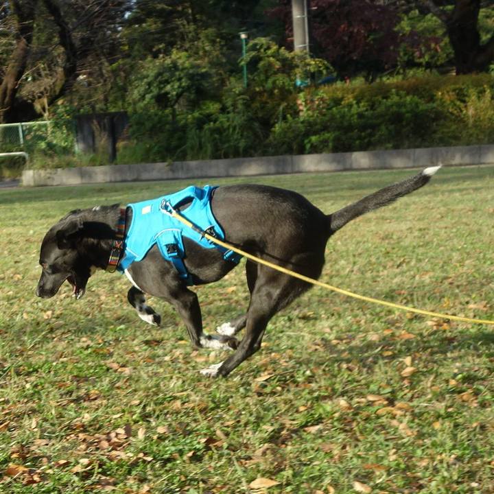 8e1e752f 2978 4e76 a761 31185fe93f2b 1603669899507