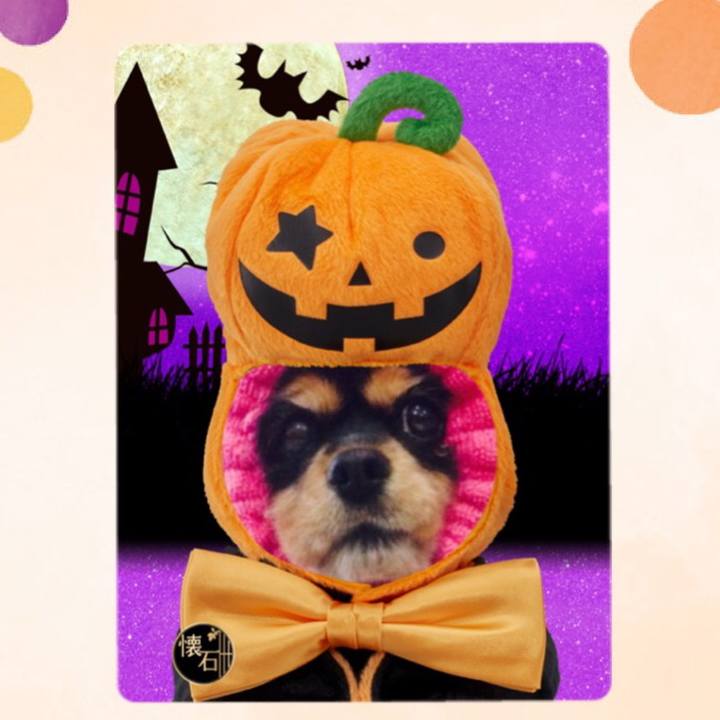 8e1e96fd 4513 4abb 8ec4 48856e3ce5e0 1508933373313