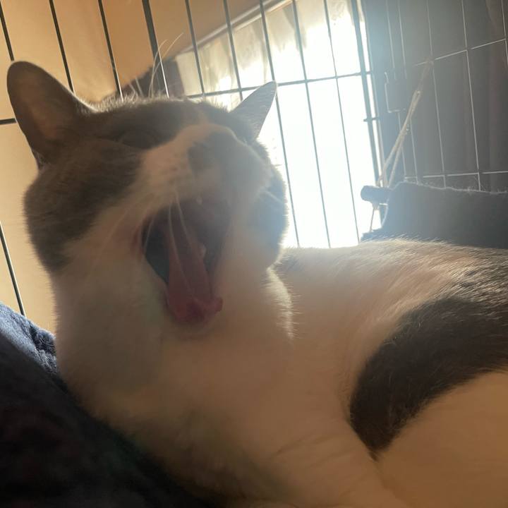 8e1ea438 16a0 49ab 9f44 6512ddcee20d 1675725812180