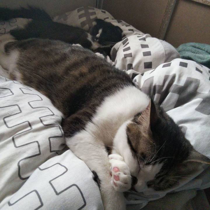 8e1eef0a eaef 43fa 8212 59ffde4bf8a8 1644031638232