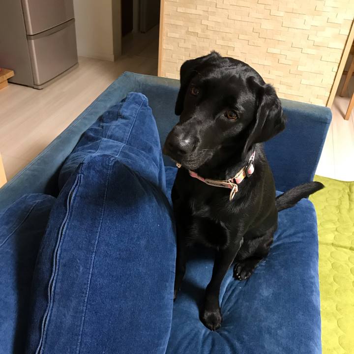 8e1f84dc 4c63 4f2b 8bf6 bd9e318efa64 1563968877013