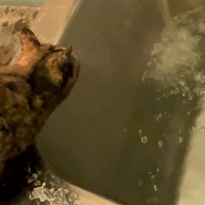 8e1fe308 177e 48a7 abdb c726a2f9d55f 1730259850296