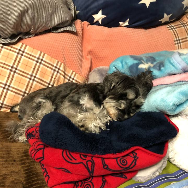 8e1ffe73 3847 4e6e 8d0f d74efdadf2fe 1649685896037