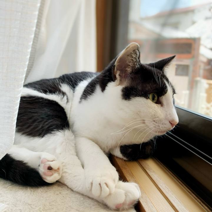 8e202486 e2d7 44b6 ab9d 63d27ad342ac 1595560930232