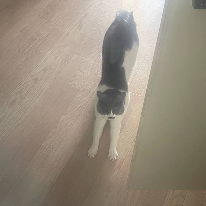 8e20964f 0fd8 4414 8802 a19f94483d39 1738643176409