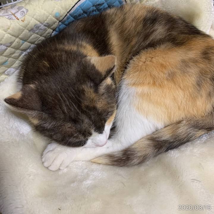 8e20a543 d425 4e04 963e 345ba20378f9 1584268841280