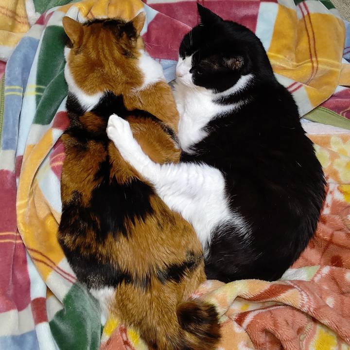 8e20bd9a 78a8 4570 8d4c 35730a4045b4 1617712305497