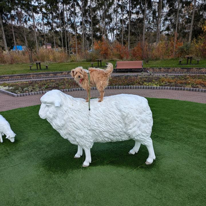 8e20cb82 85f2 4ce8 adaa 223e16d6c381 1730358759462