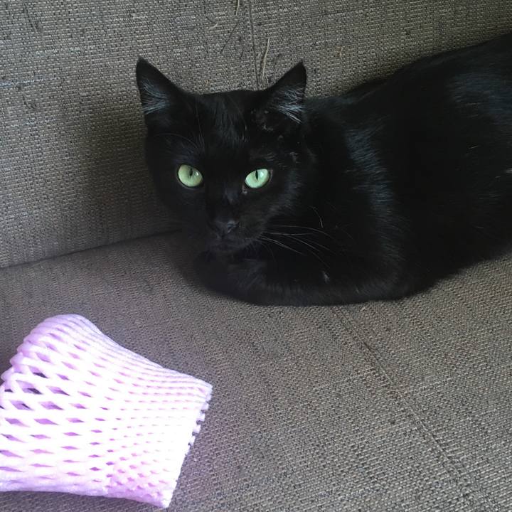 8e20dc5b 5054 4916 a381 405866bc2dab 1534742377106