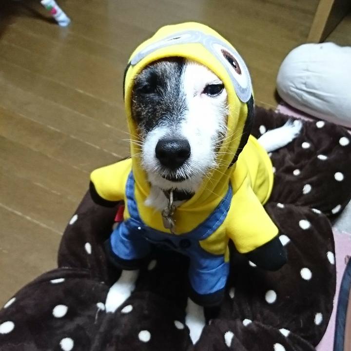 8e211c18 f360 483c 81ee aec2fff19c15 1509403597524