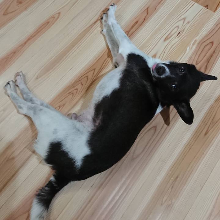 8e211cf8 c907 4ad9 ba77 30643b63d3b2 1563719817325