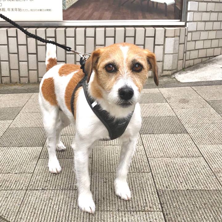 8e214716 9637 4c86 805f e7bf97cd417b 1645107942107