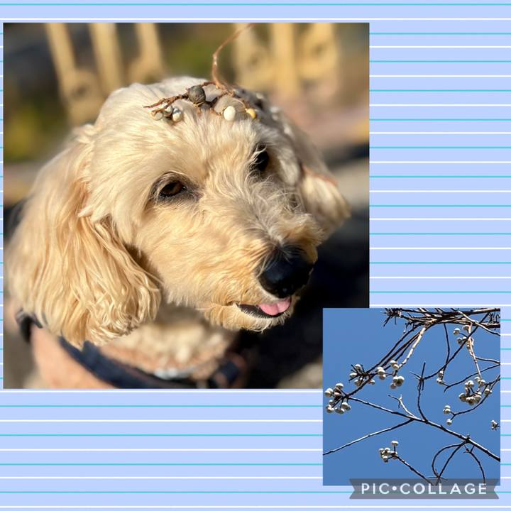 8e2151c5 36eb 480b 9c01 48a0821c80d2 1765944370910