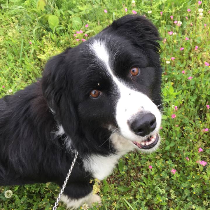 8e216e33 f480 4b2e ae09 72febc17057d 1524782544990