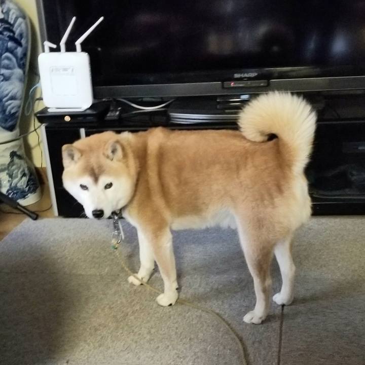 8e2179ea 9b00 4c92 9331 ed884c654541 1668207751664