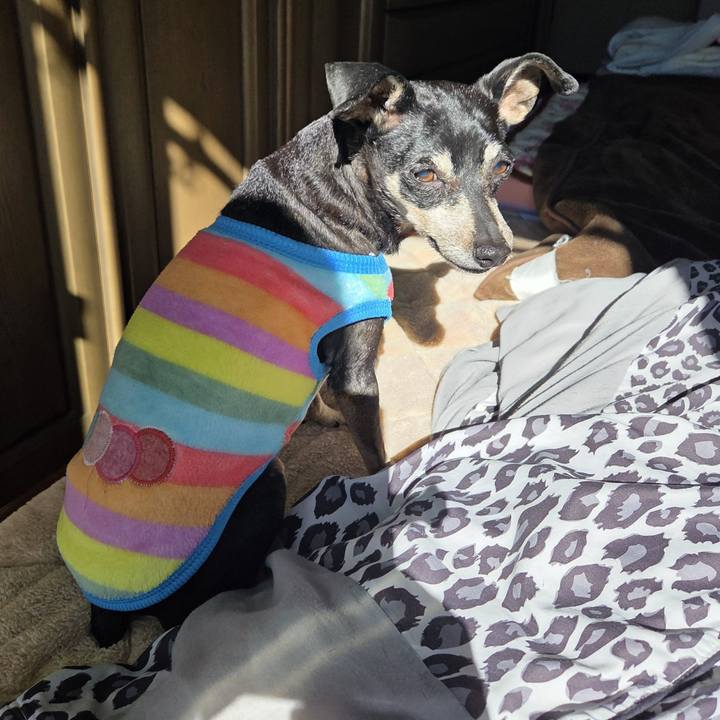 8e219b39 7ab2 45d0 a6fe 60bffa1ac532 1770093952740