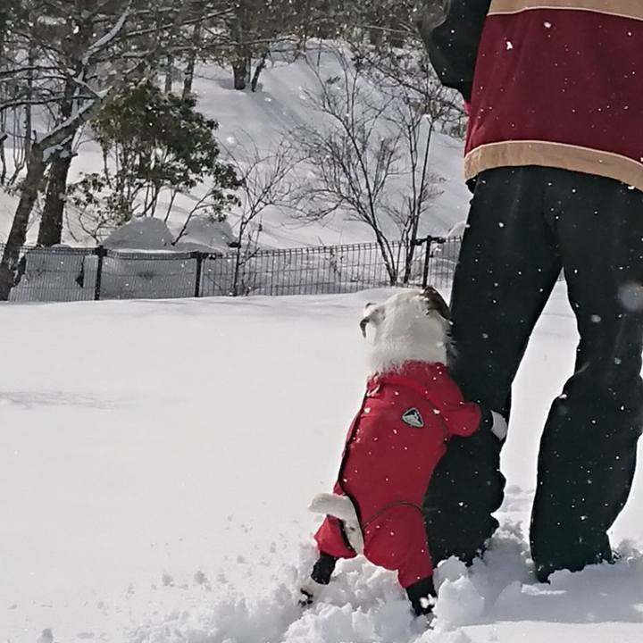 8e219c32 1779 4bd1 91d8 e9191cf735e7 1549582815346