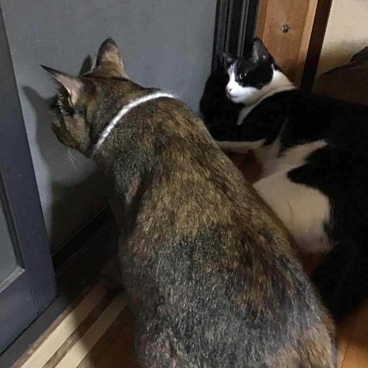 8e21b8fd 99a2 4bbc a772 db33e78e7a1f 1658835582114