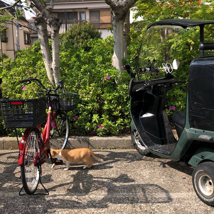 8e21da73 8b27 4597 a86b e1e206caaf7e 1620574595587