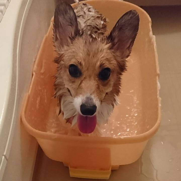 8e224c71 8a33 490f 8dcf c3d3c6ff494f 1507801488424