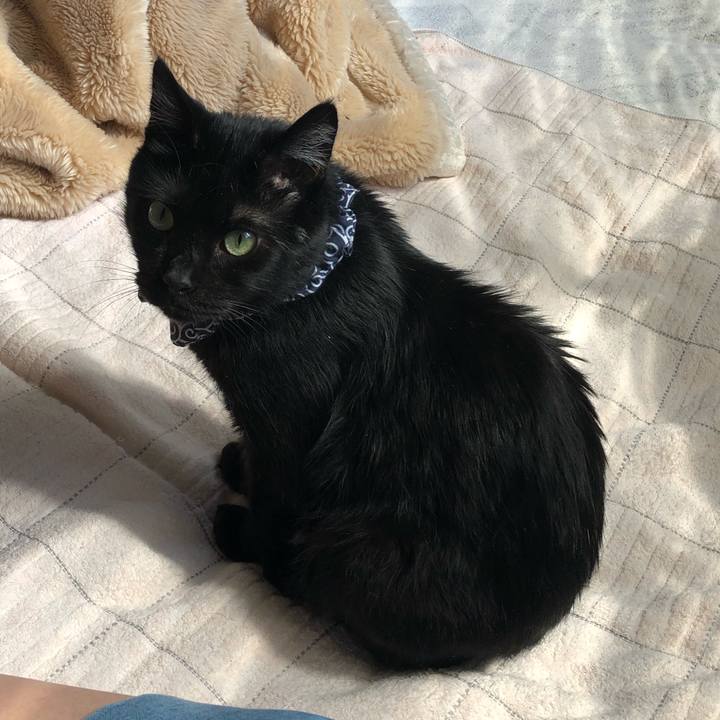 8e22bbe1 f551 4627 a62a 37e6a309ae60 1557005129779