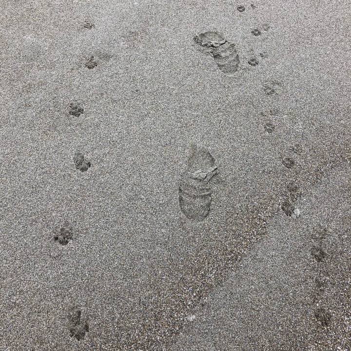 8e2323f6 b441 4ac1 9e1c f13c298b5d7f 1526601573802