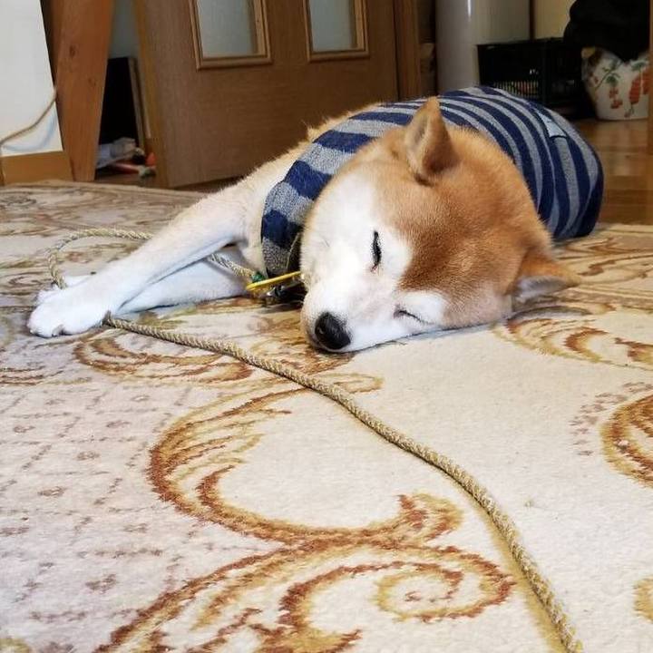 8e2324e5 3cc2 4643 8b76 c249eb5f475e 1578530257923