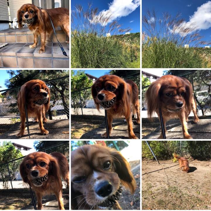 8e23317d 0d9b 48a5 aca8 23295d011bd0 1695305065636