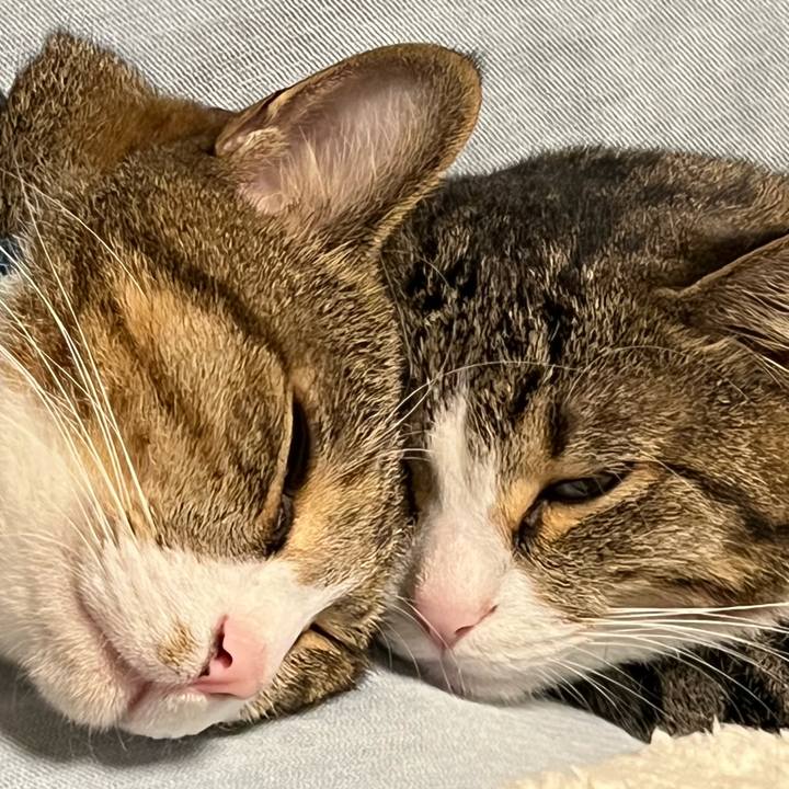 8e234186 707e 4466 bdaf 690f5c19ef15 1764104429790