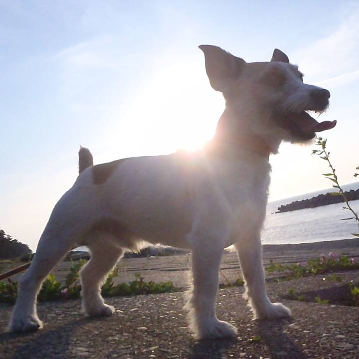 8e23966b a24b 4162 8aa7 84e7a53b5880 1528560370922