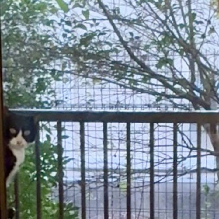 8e23cbc2 054a 405c 9309 b322e88450e8 1763289882238