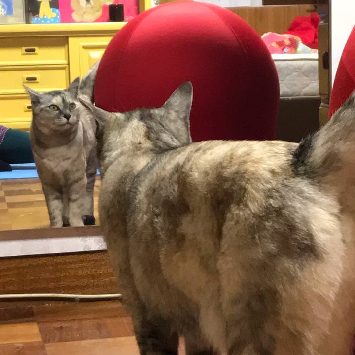 8e23d6ec dae9 421a a4f9 05654125ced9 1620991460872