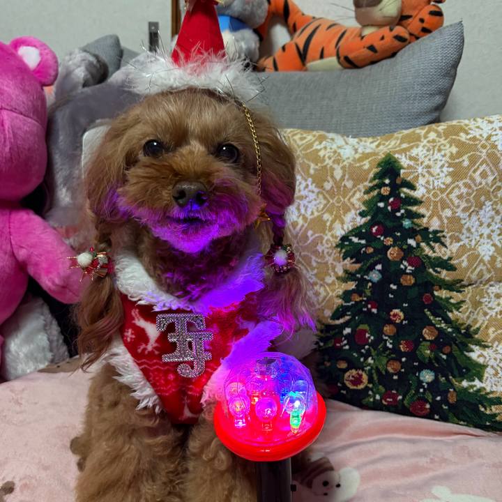 8e23dbdd 7549 4800 bcf4 0eb3b1c5d326 1766581110143