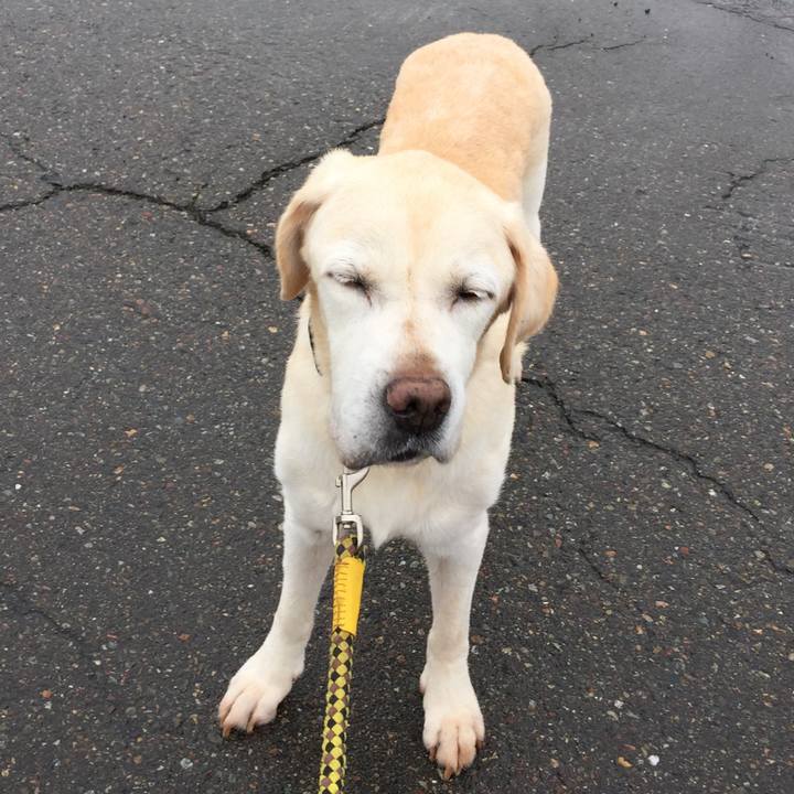 8e23df60 da0c 49e5 8e26 cad3043688fc 1537853849738