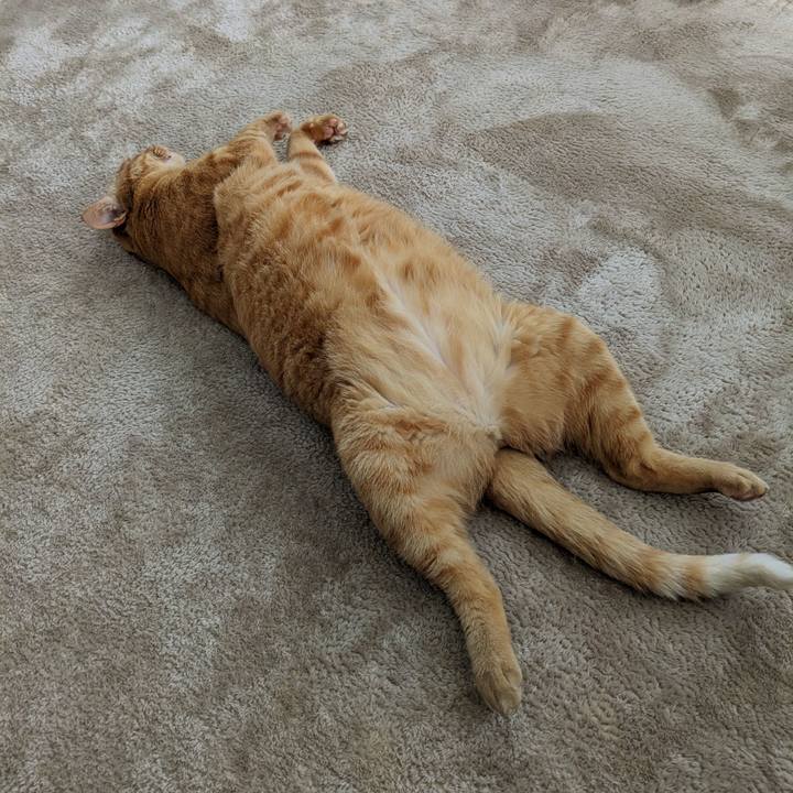 8e244a52 e2fa 4aad a01c a8ea3505b121 1681608705506