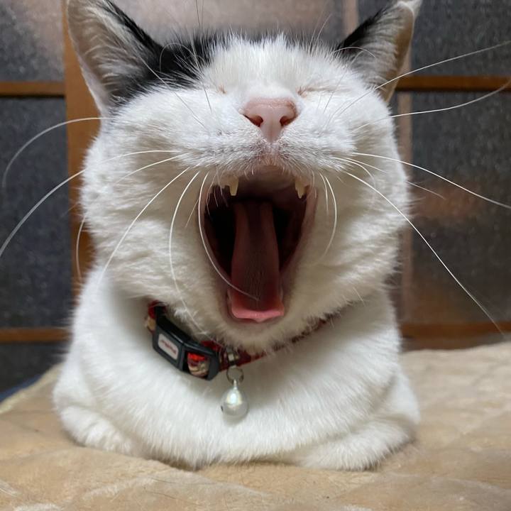 8e2487fb 523c 4f41 8564 f28dc85d5845 1652042344582