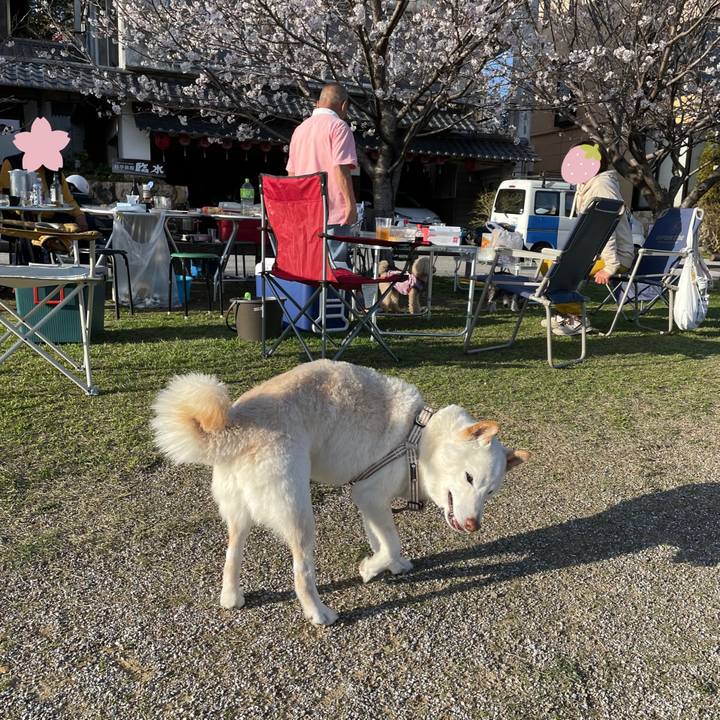 8e2489e5 5458 4804 b1b5 5520224d32d5 1648393459961