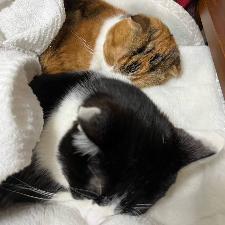 8e249864 c376 47be bf80 8d42d6c20899 1643635848206